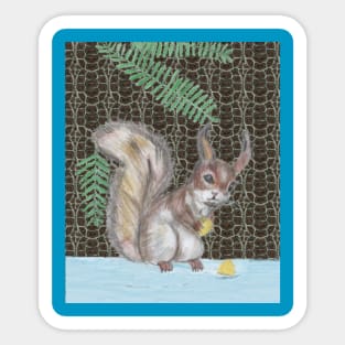 Squirrel Eating Nuts Sticker